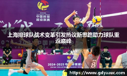 上海排球队战术变革引发热议新思路助力球队重返巅峰